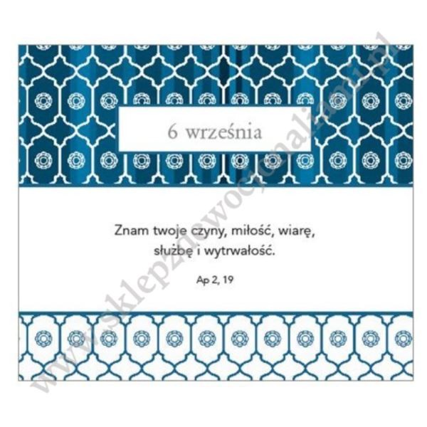 BIBLIA DLA MĘŻCZYZN NA KAŻDY DZIEŃ
