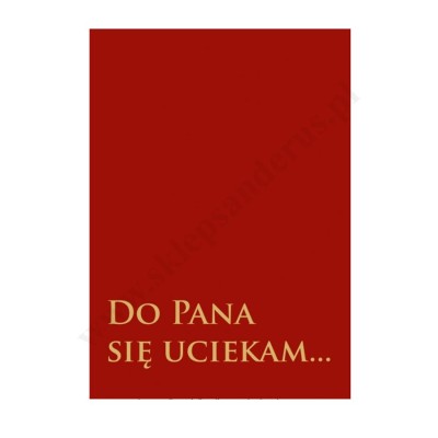 DO PANA SIĘ UCIEKAY...