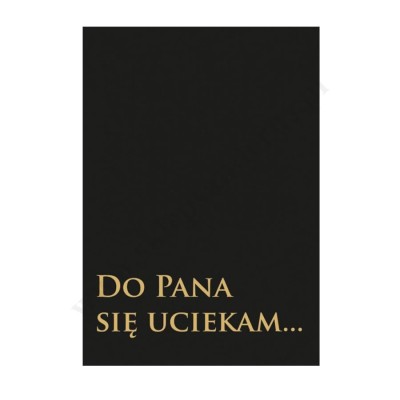 DO PANA SIĘ UCIEKAMY...