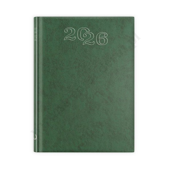 TERMINARZ 2026 - STANDARD ZIELONY - FORMAT B6 - 72068