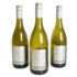 SHEEP DREAMS SAUVIGNON BLANC - wino białe wytrawne