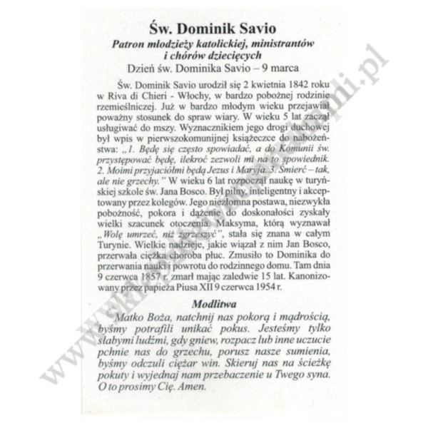ŚW.DOMINIK SAVIO - obrazek 6.5 x 10 cm - paczka 100 szt. - 11175