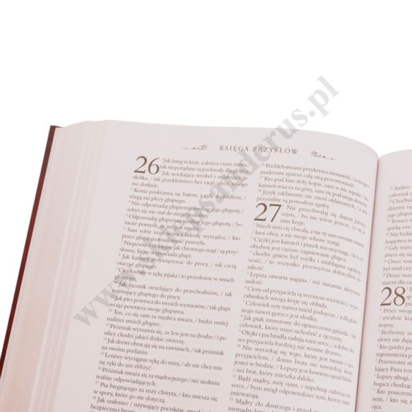 PISMO ŚWIĘTE STAREGO I NOWEGO TESTAMENTU. BIBLIA DOMOWA