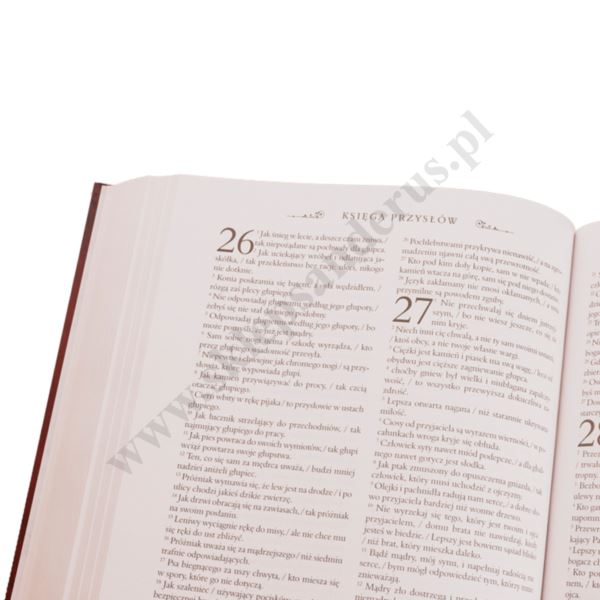 PISMO ŚWIĘTE STEREGO I NOWEGO TESTAMENTU. BIBLIA DOMOWA. PAMIĄTKA SAKRAMENTU MAŁŻEŃSTWA PISMO ŚWIĘTE STEREGO I NOWEGO TESTAMENTU. BIBLIA DOMOWA. PAMIĄTKA SAKRAMENTU MAŁŻEŃSTWA