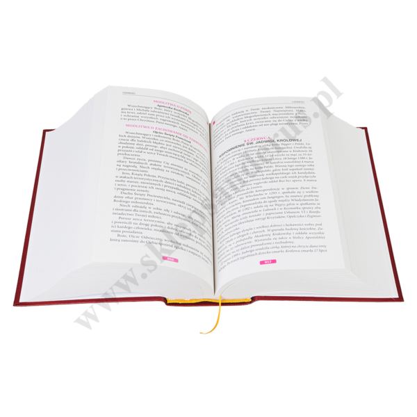 MÓDLMY SIĘ. Z CHRYSTUSEM, MARYJĄ I ŚWIĘTYMI PRZEZ CAŁY ROK