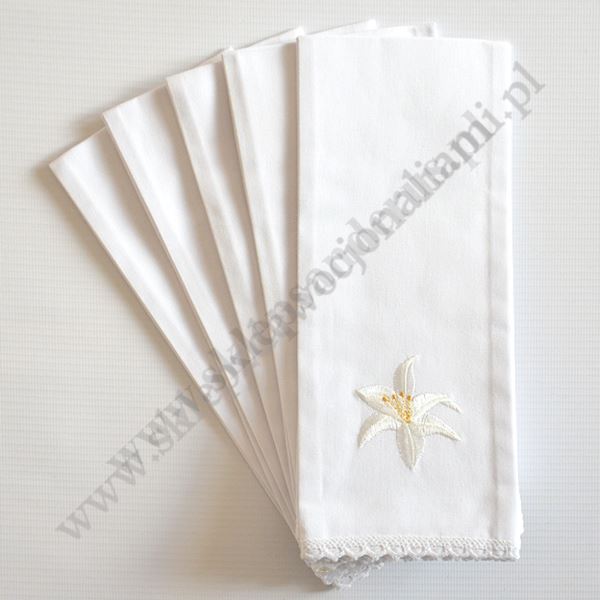 PURYFIKATERZ - KOMPLET 5 SZT. - 80429