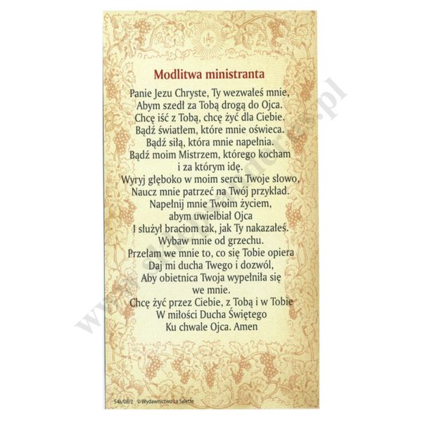 ŚW.DOMINIK SAVIO - obrazek 7 x 13 cm - paczka 100 szt. - 30344