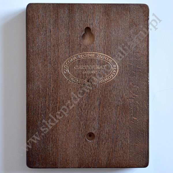 ŚWIĘTA BARBARA - ikona 12 x 16 cm - 3082-B