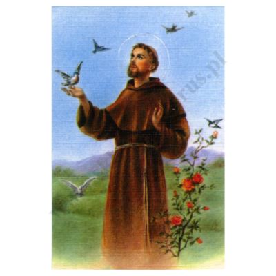 ŚW. FRANCISZEK - obrazek 6.5 x 10 cm - paczka 100 szt. - 71915