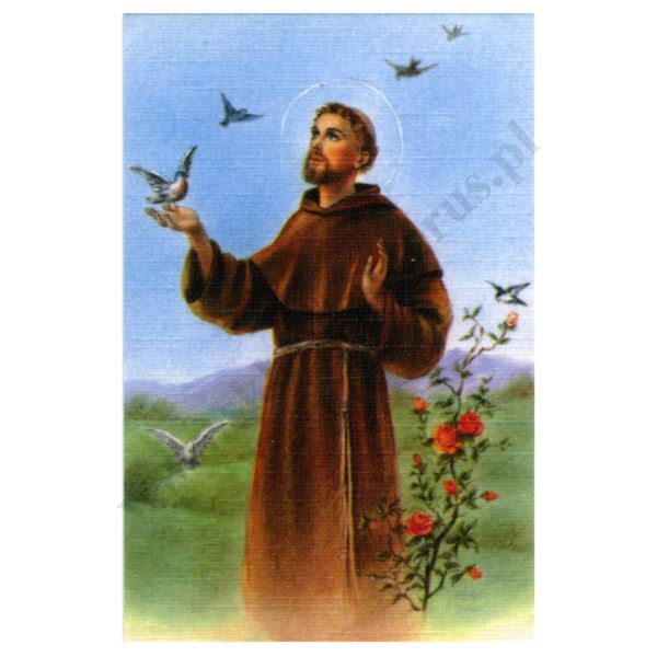ŚW. FRANCISZEK - obrazek 6.5 x 10 cm - paczka 100 szt. - 71915