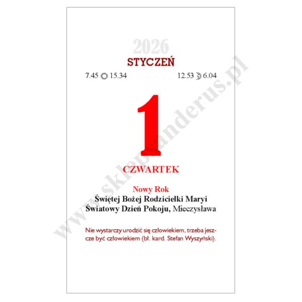 KALENDARZ ZDZIERAK NA 2026 - mix okładek - 56130