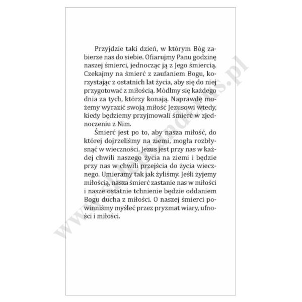 KALENDARZ ZDZIERAK NA 2026 - mix okładek - 56130