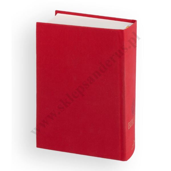 BIBLIA PLUS - Pismo Święte czytane metodą skrutacji