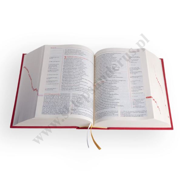BIBLIA PLUS - Pismo Święte czytane metodą skrutacji