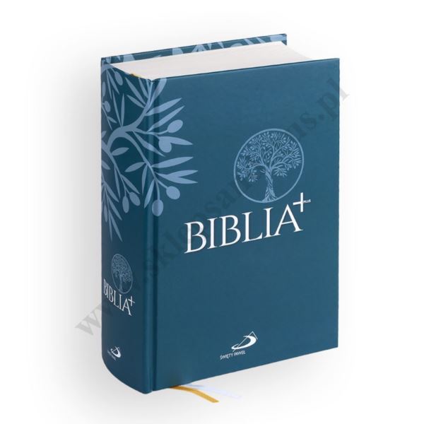 BIBLIA PLUS - Pismo Święte czytane metodą skrutacji