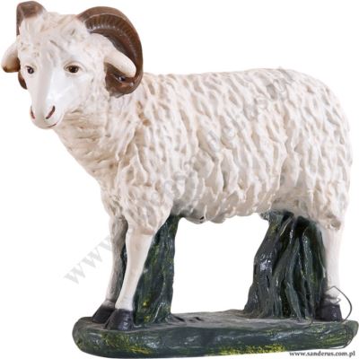 BARANEK - SZOPKA 85 cm - 303/17 - 64647