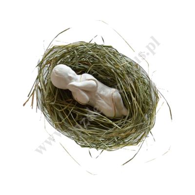 DZIECIĄTKO NA SIANKU - 51165