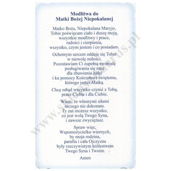 MATKA BOŻA NIEPOKALANA - obrazek 9 x 14.7 cm - POCZTÓWKA - paczka 100 szt. - 30164