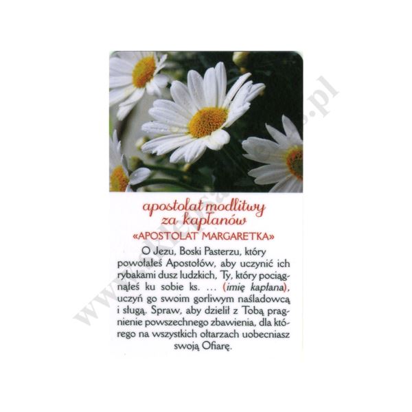 APOSTOLAT MARGARETKA - karta biznes - 74814