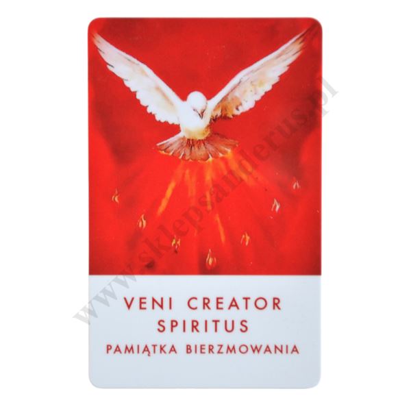 PAMIĄTKA BIERZMOWANIA - biznes karta - 62762