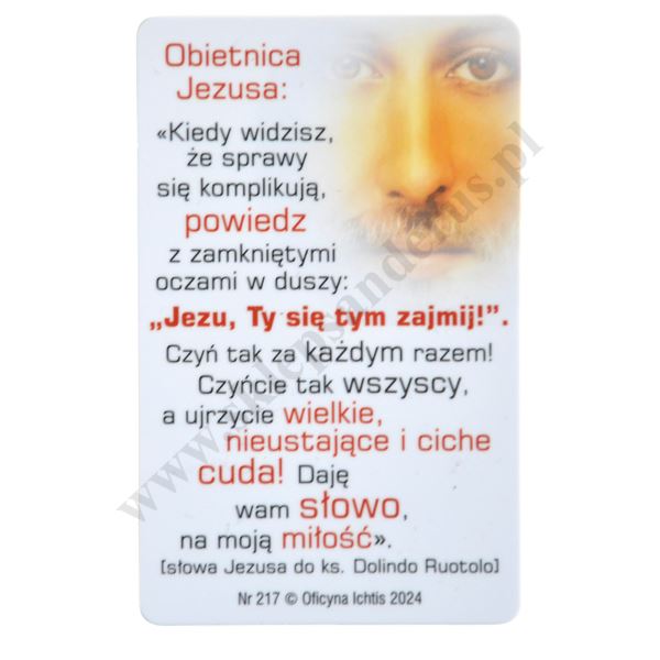 JEZU TY SIĘ TYM ZAJMIJ - biznes karta - 62764