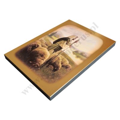DOBRY PASTERZ - ikona 20 x 28 cm - 3078