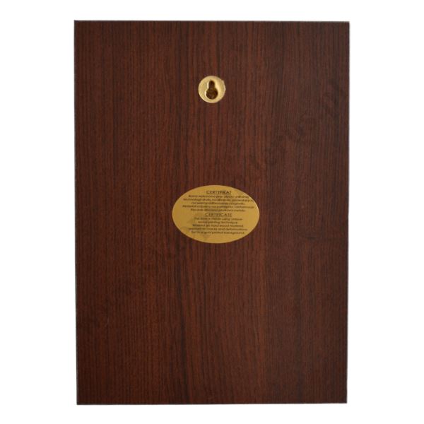 DOBRY PASTERZ - ikona 20 x 28 cm - 3078