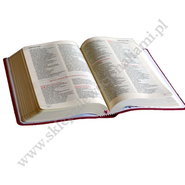 BIBLIA DLA KOBIET
