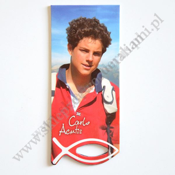 ZAKŁADKA DO KSIĄŻKI Z MAGNESEM - 30199