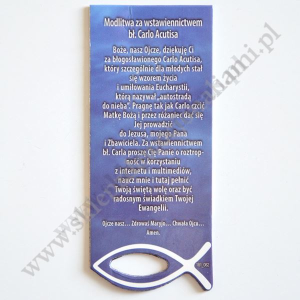 ZAKŁADKA DO KSIĄŻKI Z MAGNESEM - 30199