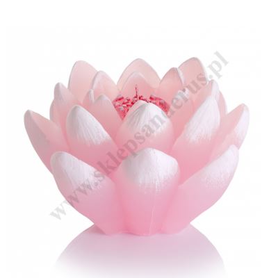 ŚWIECA LILIA - wys. 8.5 cm - mix kolorów - 73225