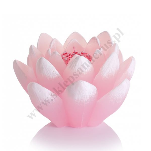 ŚWIECA LILIA - wys. 8.5 cm - mix kolorów - 73225