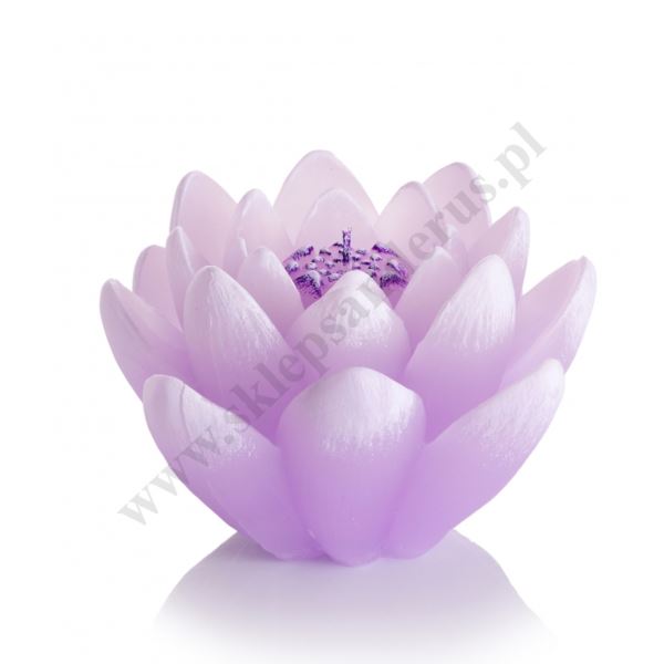 ŚWIECA LILIA - wys. 8.5 cm - mix kolorów - 73225