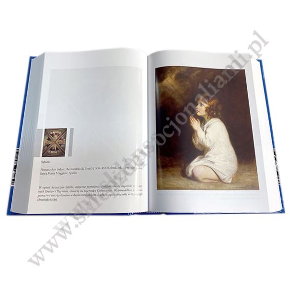 PISMO ŚWIĘTE. STARY I NOWY TESTAMENT Z ILUSTRACJAMI.