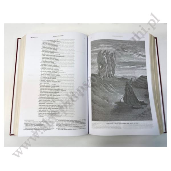 RODZINNA BIBLIA TYSIĄCLECIA