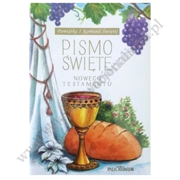 PISMO ŚWIĘTE - NOWY TESTAMENT