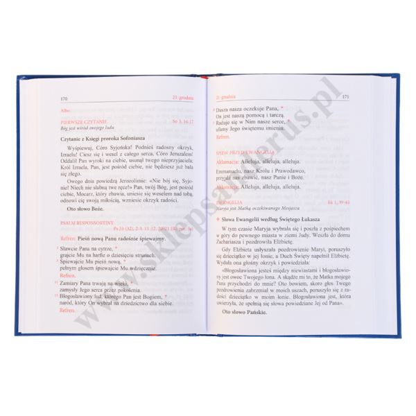 LEKCJONARZ MSZALNY - TOM 1 - FORMAT A5