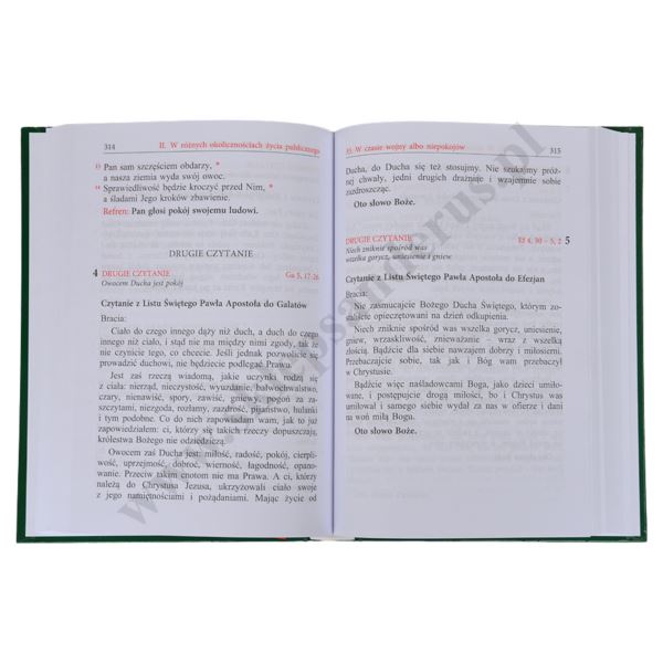 LEKCJONARZ MSZALNY - TOM 8 - FORMAT A4