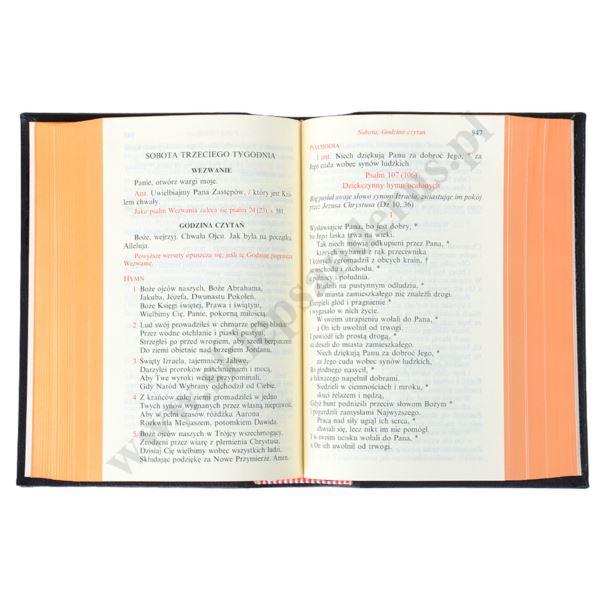 LITURGIA GODZIN - TOM DODATKOWY - WAKACYJNY - 2675