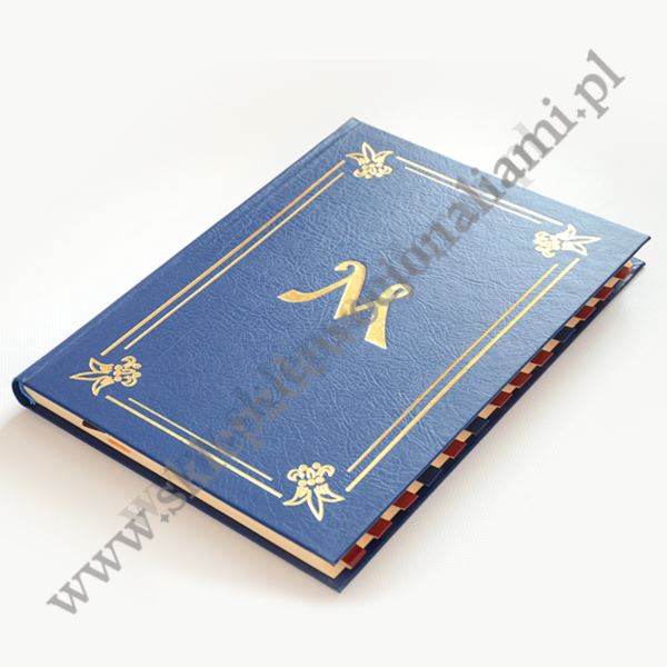 ZBIÓR MSZY O N.M.P - mszał maryjny - 1408