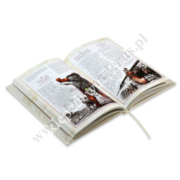 BIBLIA NA KAŻDY DZIEŃ - 365 Historii ze Starego i Nowego Testamentu