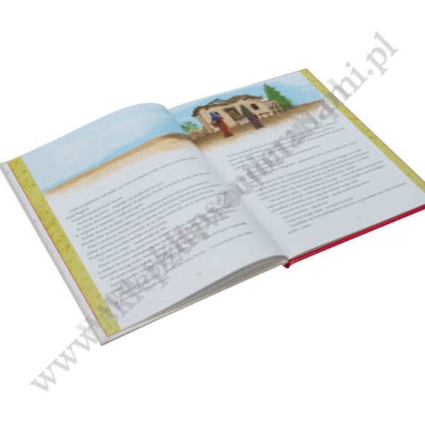 HISTORIE Z BIBLII. BOHATERKI DLA DZIEWCZĄT