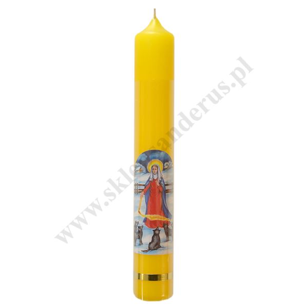 GROMNICZKA - wys. 20 cm - 89769