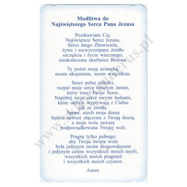NAJŚWIĘTSZE SERCE PANA JEZUSA - obrazek 6.2 x 10.4 cm - paczka 100 szt. - 73342