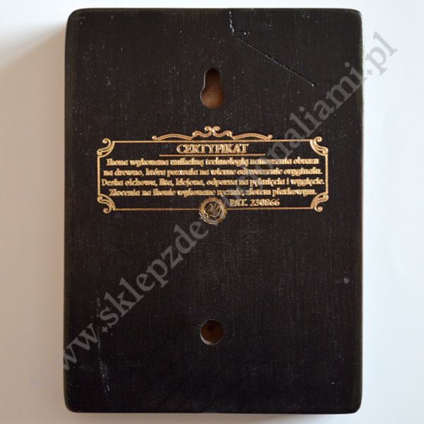 ŚWIĘTY BRAT ALBERT - ikona 12 x 16 cm - 3087-B