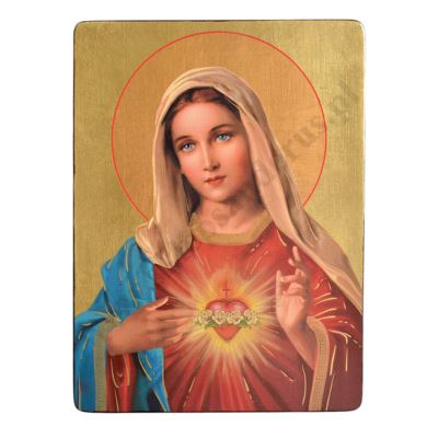 SERCE MATKI BOŻEJ - ikona 17 x 23 cm - 3301-E