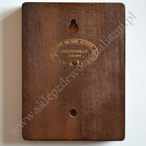 ŚWIĘTA KRYSTYNA - ikona 12 x 16 cm - 3818-B