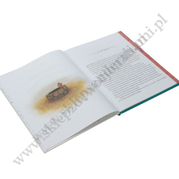 HISTORIE Z BIBLI. BOHATEROWIE DLA CHŁOPCÓW