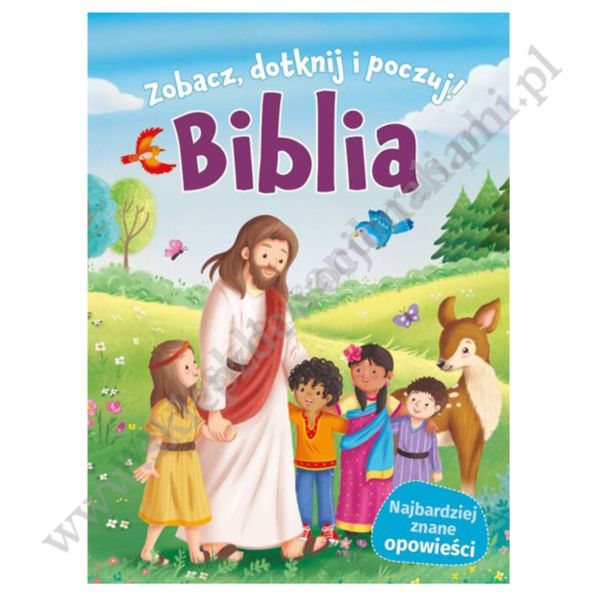 BIBLIA. ZOBACZ, DOTKNIJ, POCZUJ