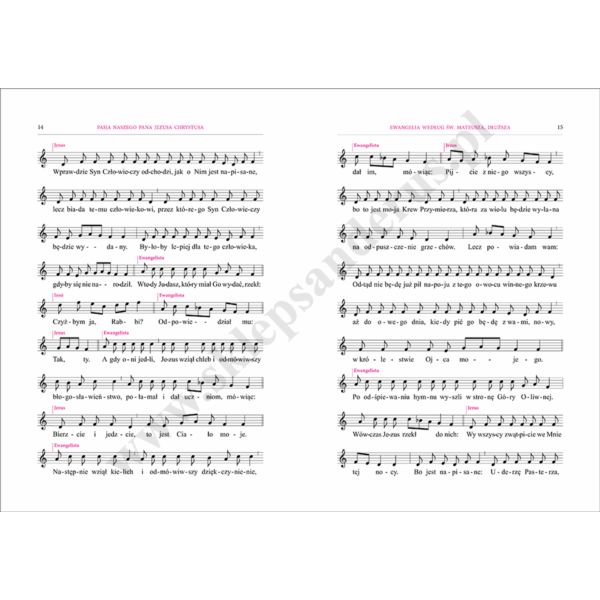 MĘKA NASZEGO PANA JEZUSA CHRYSTUSA